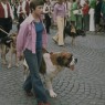 07_hundeverein